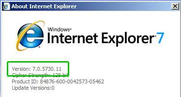 Kuva 5: Internet Explorerin version tunnistaminen