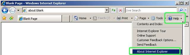 Kuva 4: Internet Explorerin version tunnistaminen